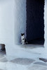 Cyclades Greece Cyclades